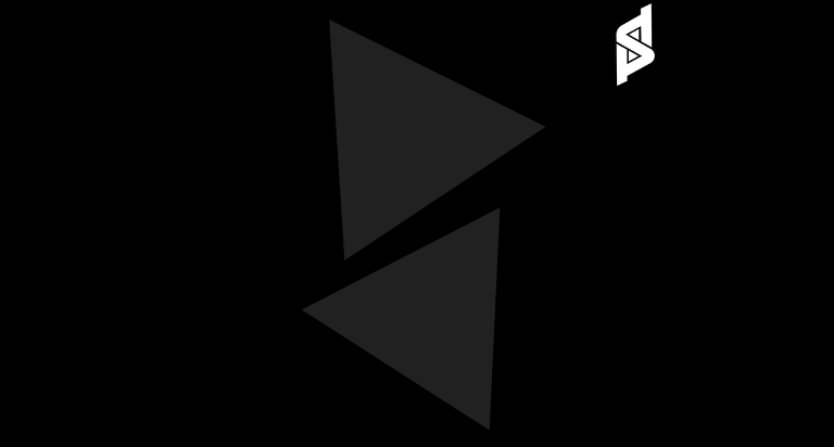 Affordable SEO Cheap Packages PETSAAL TECHNOLOGIES