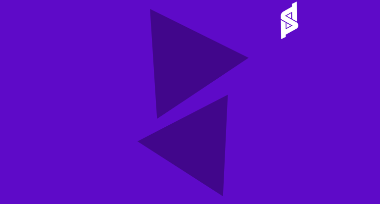 SEO Services Company In USA Petsaal technologies