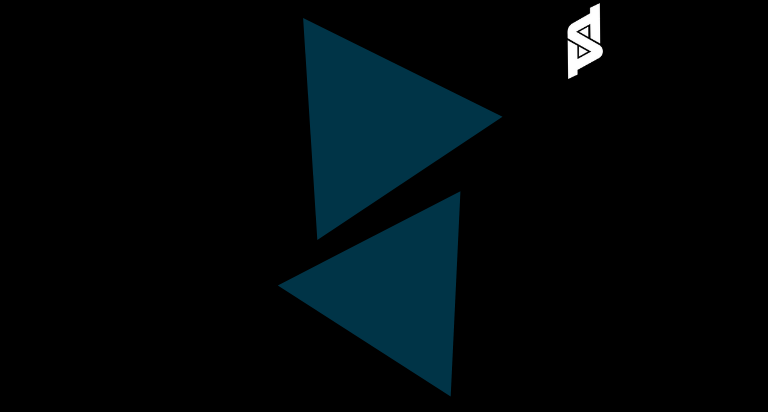 SEO Services in Lahore | PETSAAL TECHNOLOGIES
